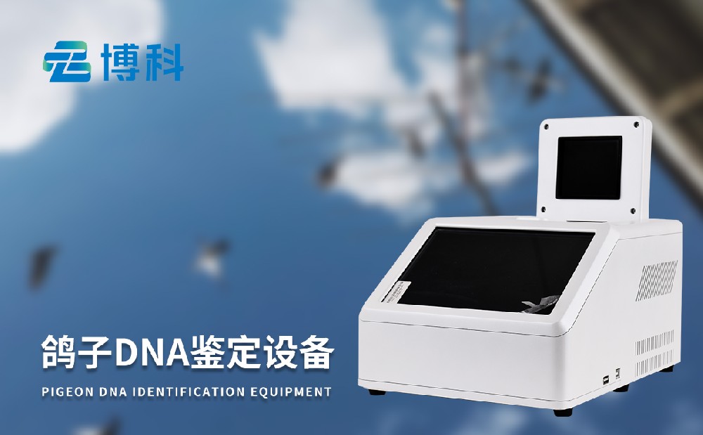 dna豸