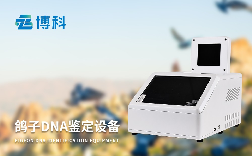  DNA豸
