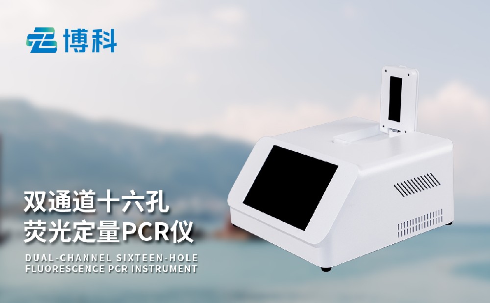 pcrӫټ
